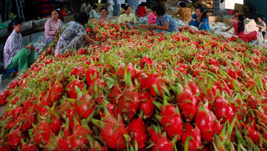 Doanh nghiep Viet 'tu choi' ca don dat hang cua sieu thi My, Dubai hinh anh