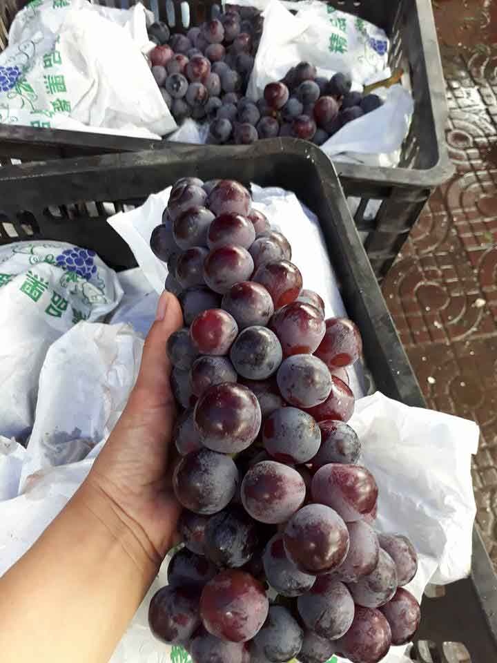 Nguoi Viet da an hang chuc nghin tan nho Trung Quoc hinh anh