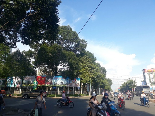 Người phụ nữ bí mật mua 4 trụ sở công ở Bình Dương ảnh 3 Nguoi phu nu bi mat mua 4 tru so cong o Binh Duong anh 3