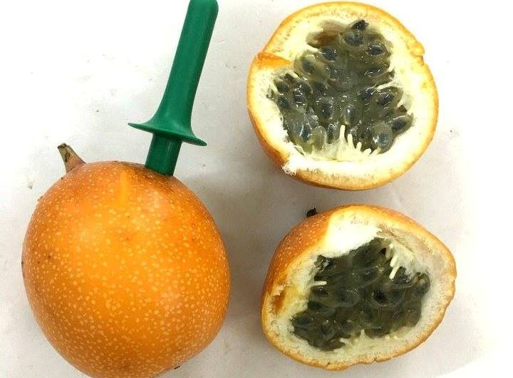 Chanh day 120.000 dong mot qua, hut truc tiep khong can pha che hinh anh