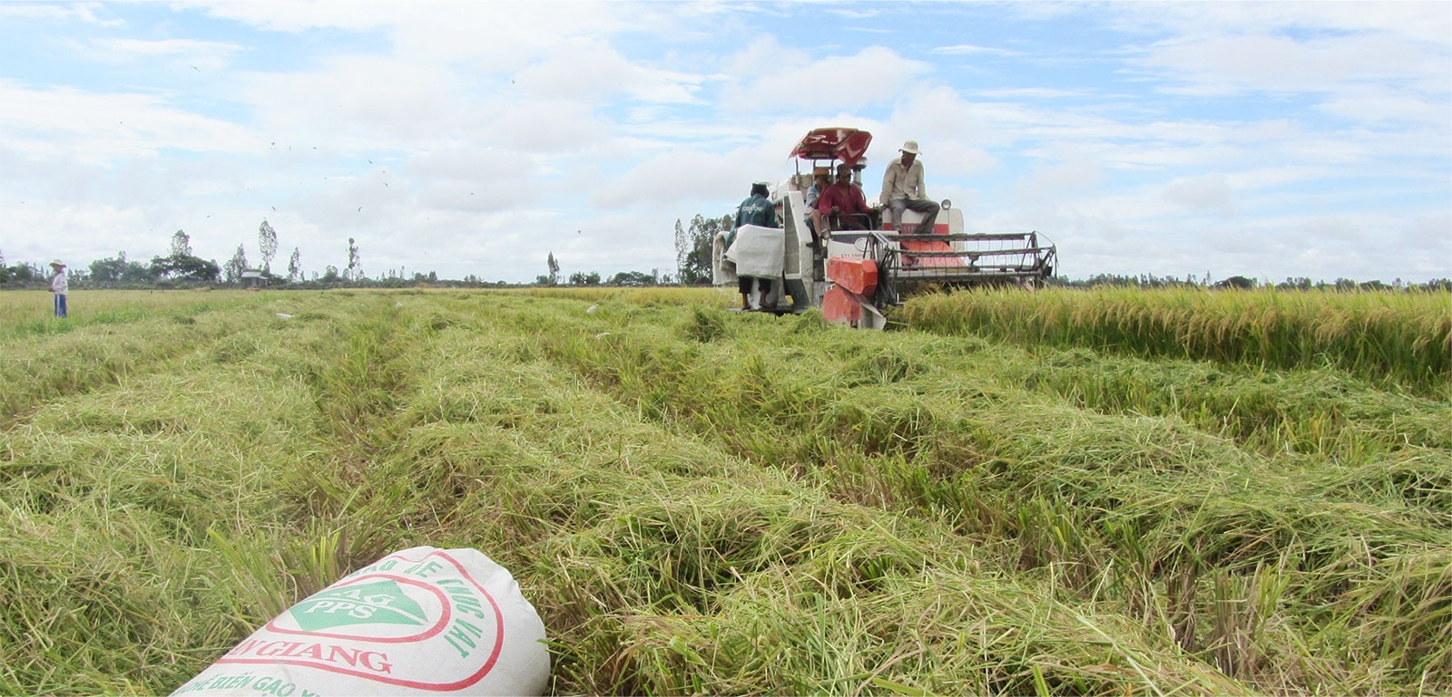 Mekong Capital thoai het von khoi Loc Troi, thu ve hon 12 trieu USD hinh anh