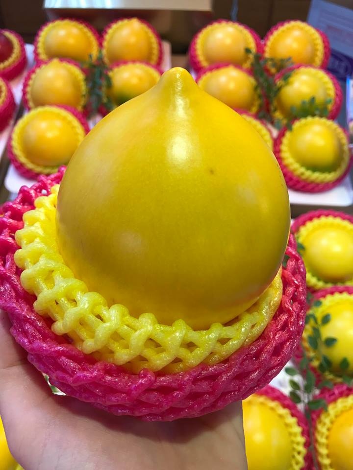 Vu sua Dai Loan 350.000 dong mot qua anh 2