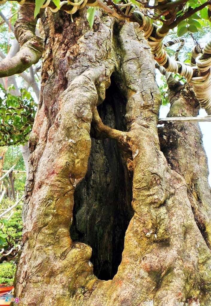 Khe,  mai gia chuc ty het duong ra cho Tet anh 2