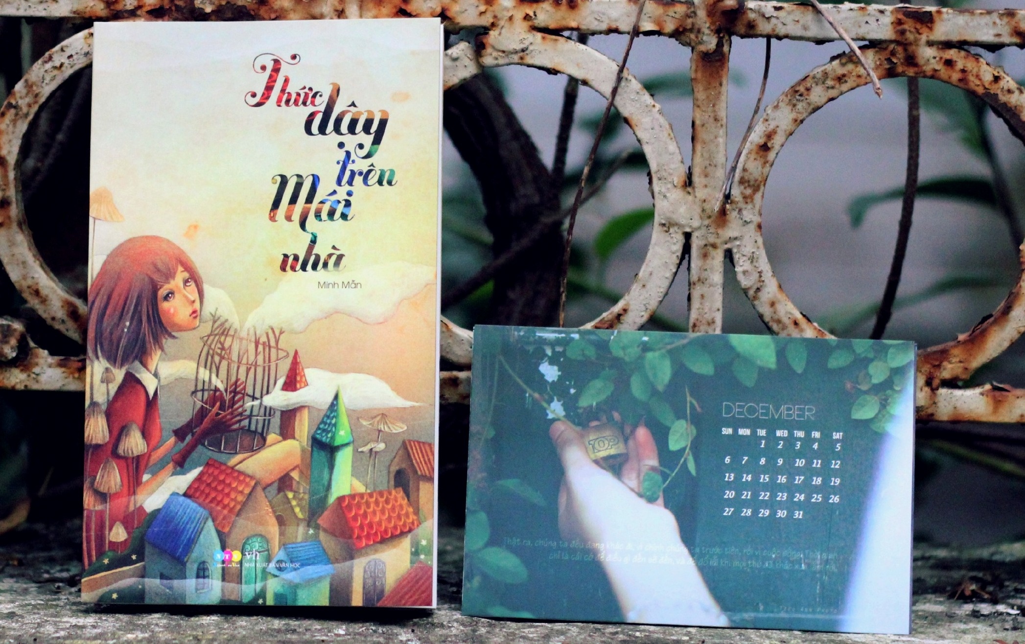 Thuc day tren mai nha hinh anh