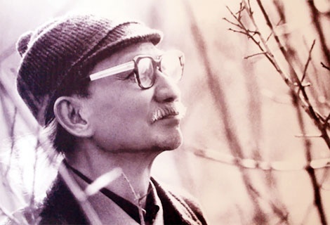 Nha van Nguyen Tuan: 'Nha toi co gen giang ho' hinh anh