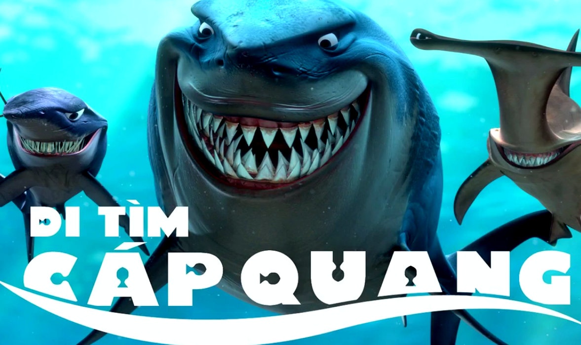 Clip che ca map thanh minh ve hien tuong dut cap quang hinh anh