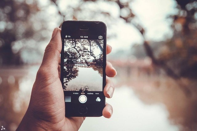 Dù được được chụp khá đơn giản nhưng Việt Vương đã xử lý hậu kỳ, tạo cho những bức ảnh của mình các lớp màu blend bắt mắt.