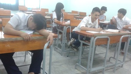 Truong la o Sai Gon hinh anh