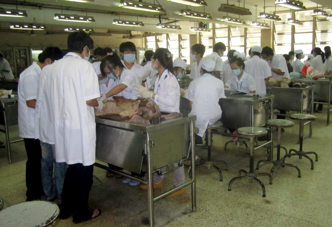 Sinh vien ke chuyen hoc phau thuat tren xac nguoi hinh anh