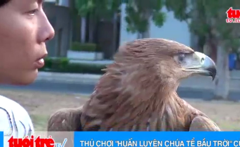 Clip trao luu huan luyen 'chua te bau troi' cua gioi tre hinh anh