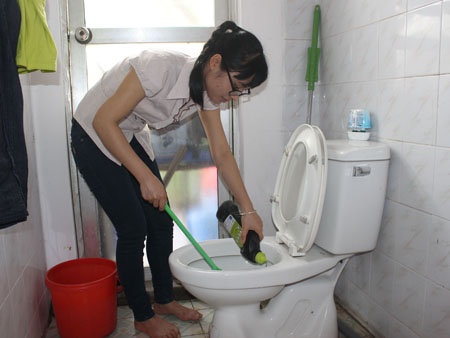 Sinh vien lam o sin, nhieu cam bay hinh anh