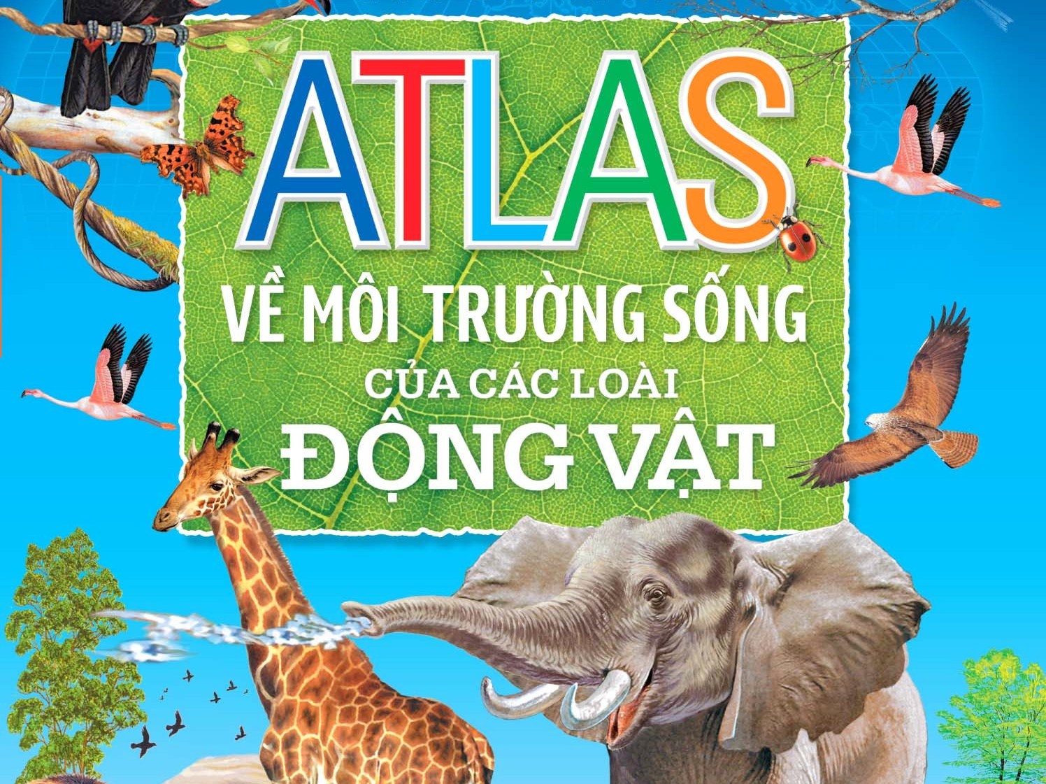 Kham pha the gioi cung bo Atlas tu nhien hinh anh