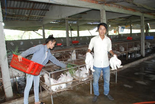 Chàng thiếu gia họ Vương tên Hiếu làm giám đốc và người yêu Mai Thị Lê trong trang trại thỏ thu tiền tỷ của mình.