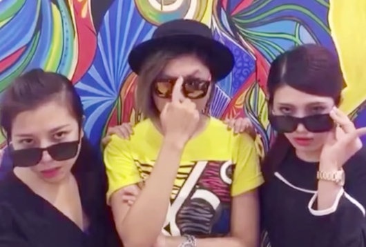 Clip cover 'Twerk It Like Miley' cua thi sinh The Voice Viet hinh anh