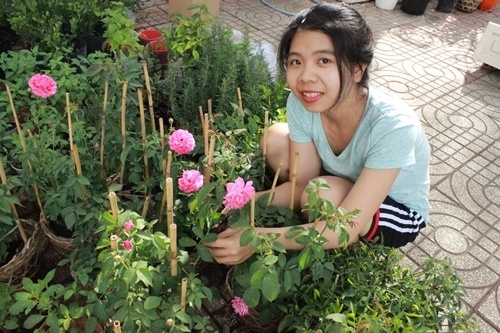 Vuon cay ngoai nhap cua co ban 9X hinh anh
