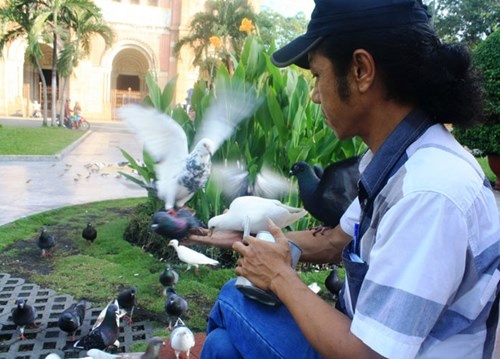 10 nam 'nhan nuoi' chim troi lam dep thanh pho hinh anh