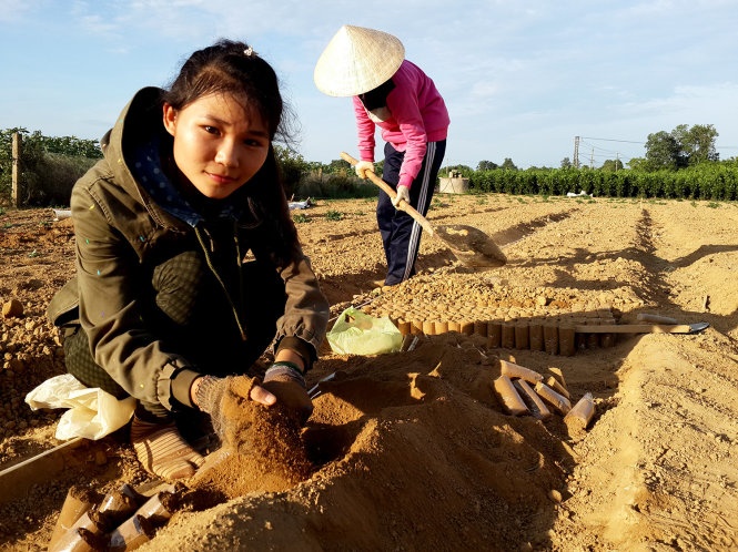 Vat va kiem tien  de di hoc hinh anh