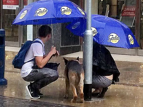 Cap doi coi ao khoac che mua cho chu cho hinh anh