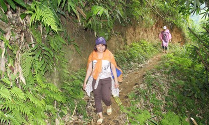 Duong mon mang ten co giao hinh anh