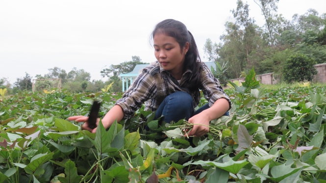 Tân sinh viên Tàng Thị Kim đang tăng gia sản xuất tại Trung tâm Hi vọng Lộc Bình (huyện Lộc Bình, Lạng Sơn).