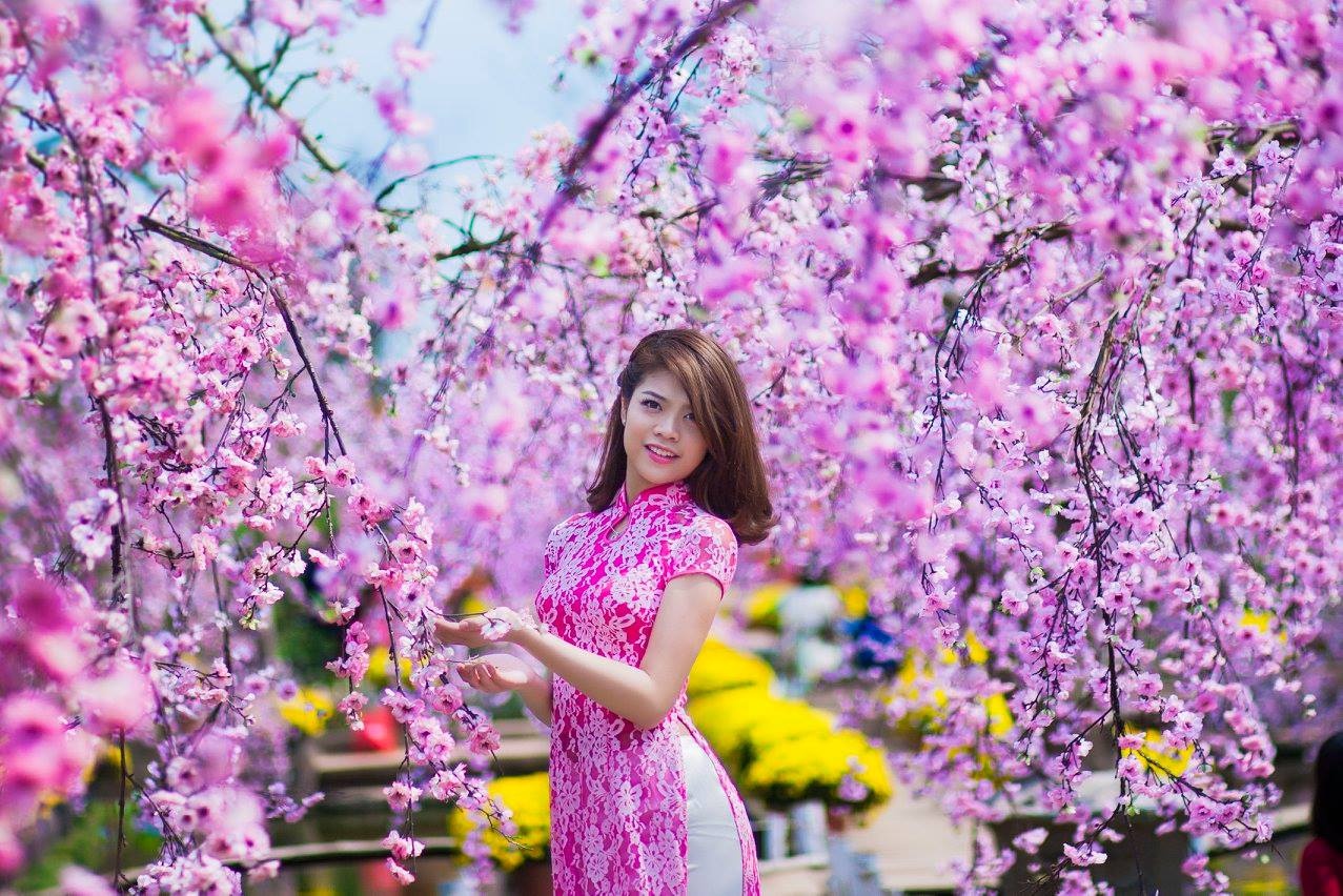 Nguyễn Quỳnh Anh