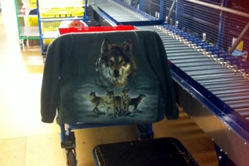 Bức ảnh đã khiến Troy bị đuổi việc.