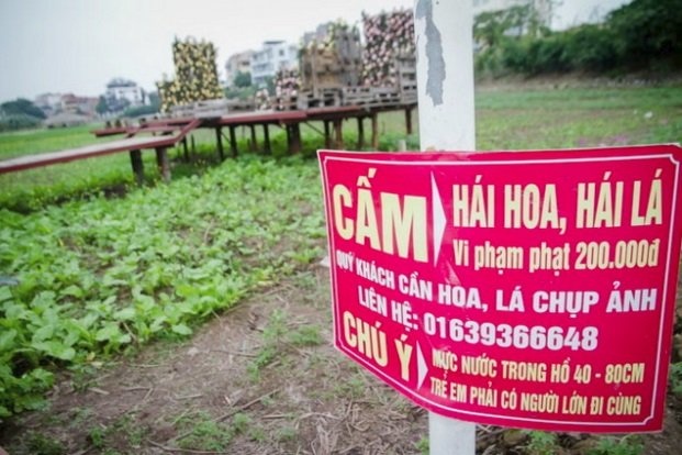 Nham co anh dep cho minh, sao no giay xeo len hoa? hinh anh