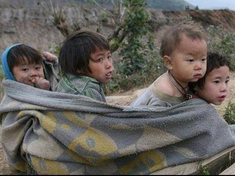 Nghich canh bang tuyet: Dan phuot reo ho, nong dan khoc hinh anh