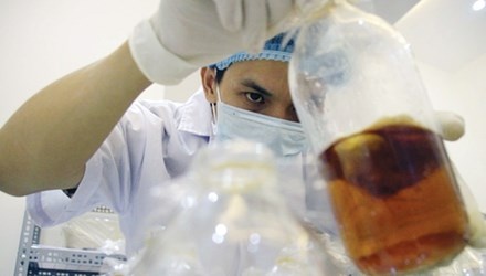 'Cha de' 9X cua cong nghiep dong trung ha thao hinh anh