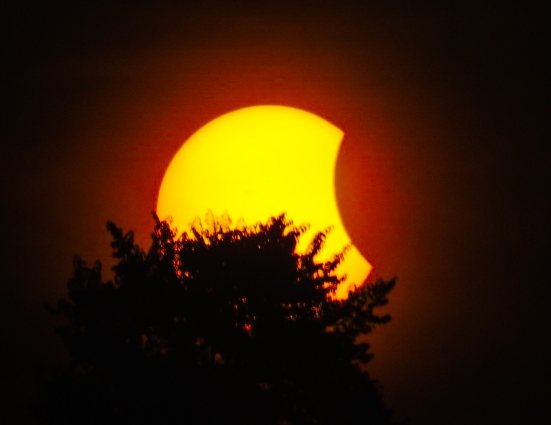 Nhat thuc o Viet Nam anh 6