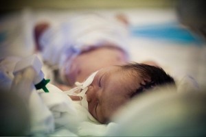 Vu be 16 thang tuoi tu vong: Truong phong GD len tieng hinh anh