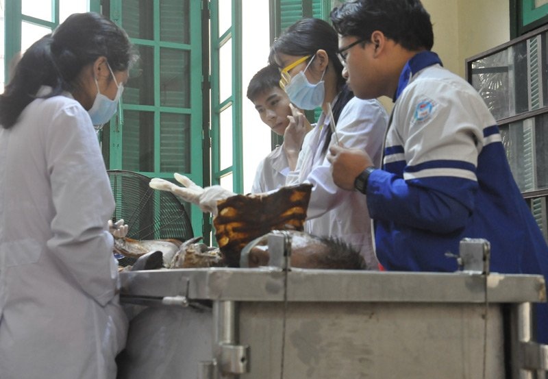 nha xac Dai hoc Y anh 9