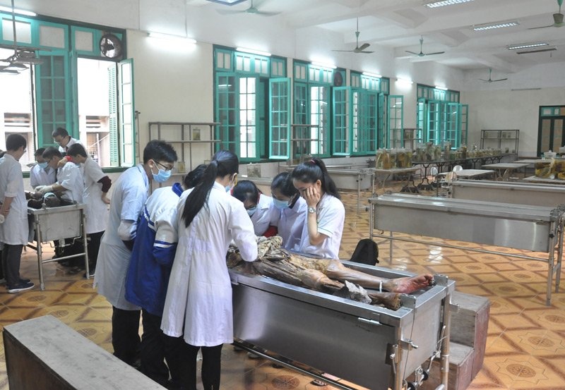 nha xac Dai hoc Y anh 4