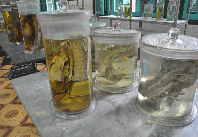 nha xac Dai hoc Y anh 5