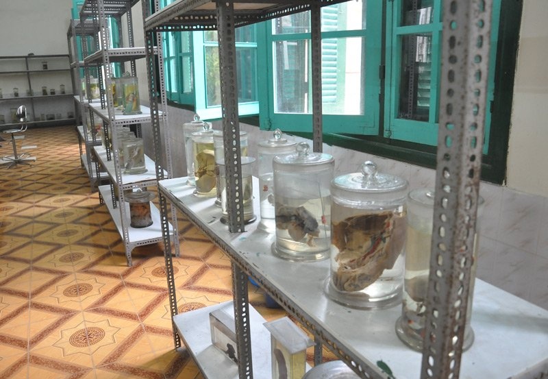 nha xac Dai hoc Y anh 8