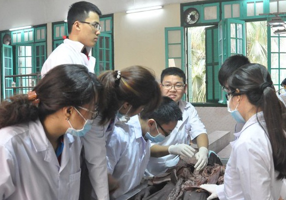 Can canh phong xac cua Dai hoc Y Ha Noi hinh anh