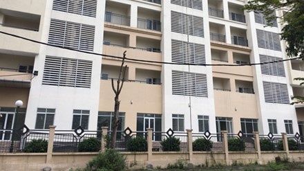 Ky tuc xa nghin ty bo hoang hinh anh