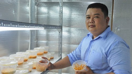 kỹ sư điện làm giàu ảnh 2 ky su dien lam giau anh 2