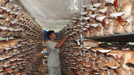 kỹ sư điện làm giàu ảnh 1 ky su dien lam giau anh 1