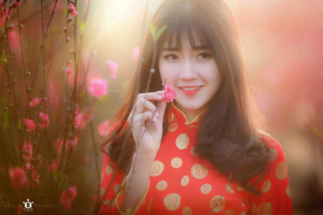 Bo Tet co truyen de hoi nhap the gioi? hinh anh