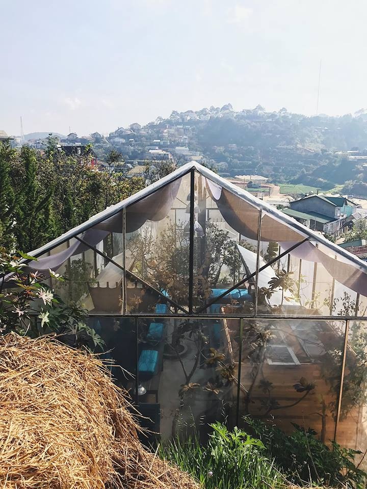 homestay Da Lat anh 22