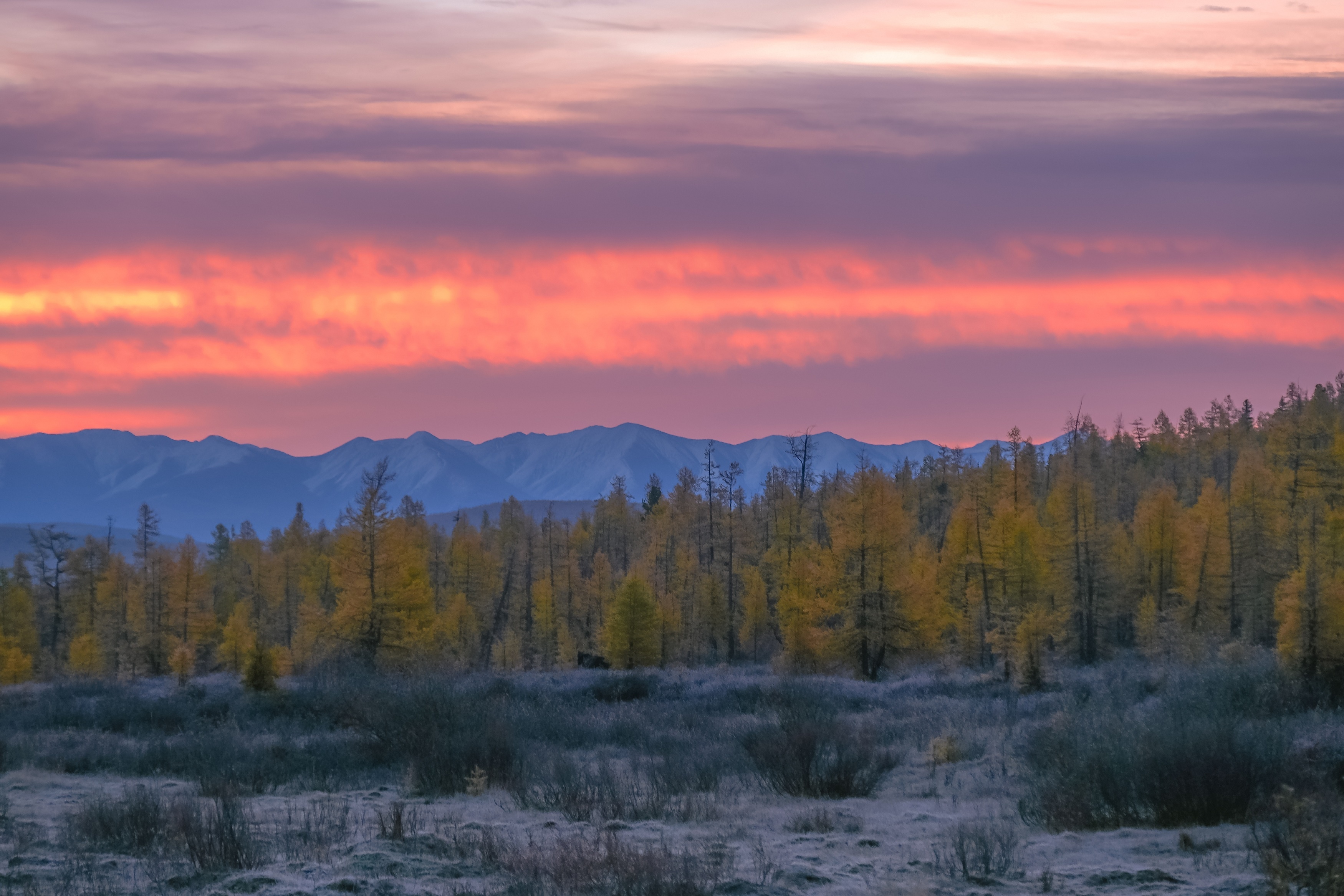 Khám phá Mông Cổ bất tận ảnh 2 Kham pha Mong Co bat tan anh 2