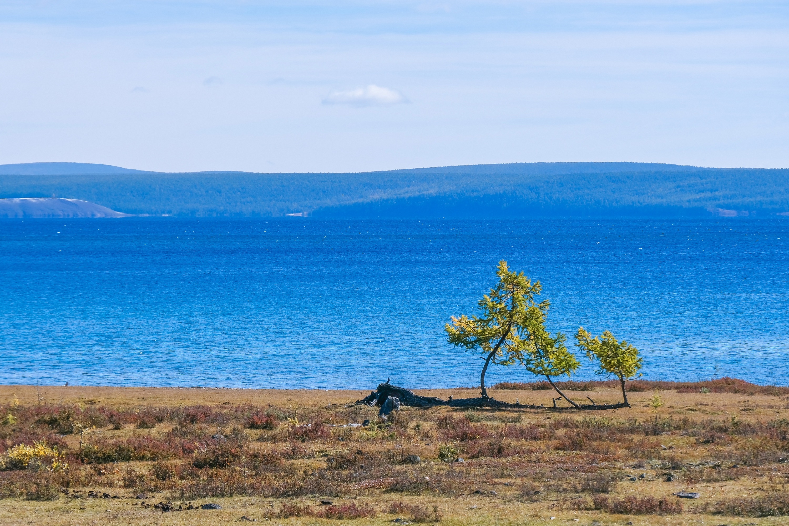 Khám phá Mông Cổ bất tận ảnh 26 Kham pha Mong Co bat tan anh 26