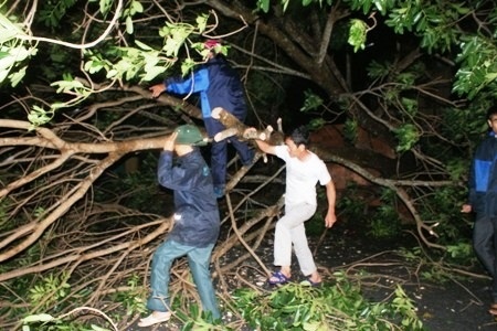 Tam bao 6 do bo Nam Dinh - Thanh Hoa hinh anh