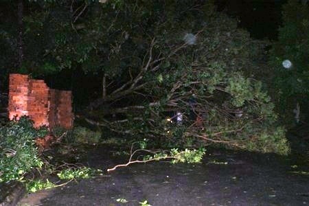 bão đổ bộ, mưa lớn, Thanh Hóa, Nam Định, gió giật mạnh