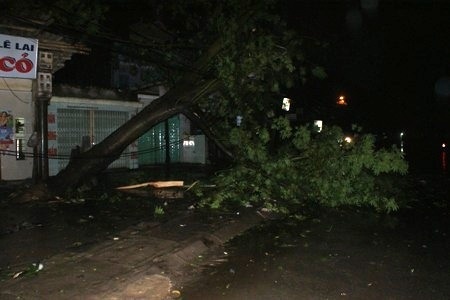 bão đổ bộ, mưa lớn, Thanh Hóa, Nam Định, gió giật mạnh