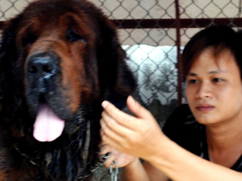 Trai nuoi 'than khuyen' cua Thac si Ngu Van o dat Quang hinh anh