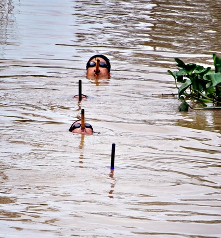 đặc công, chiến đấu, tinh nhuệ