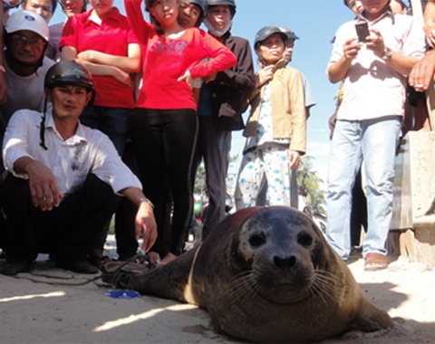 Hai cau 30kg 'an trom' ca nhieu ngay o Da Nang hinh anh