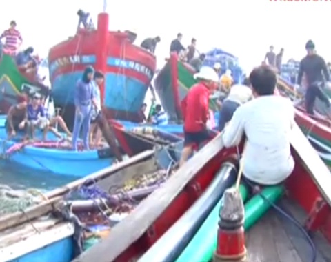 Can canh ngu dan gianh giat lay co vat hinh anh